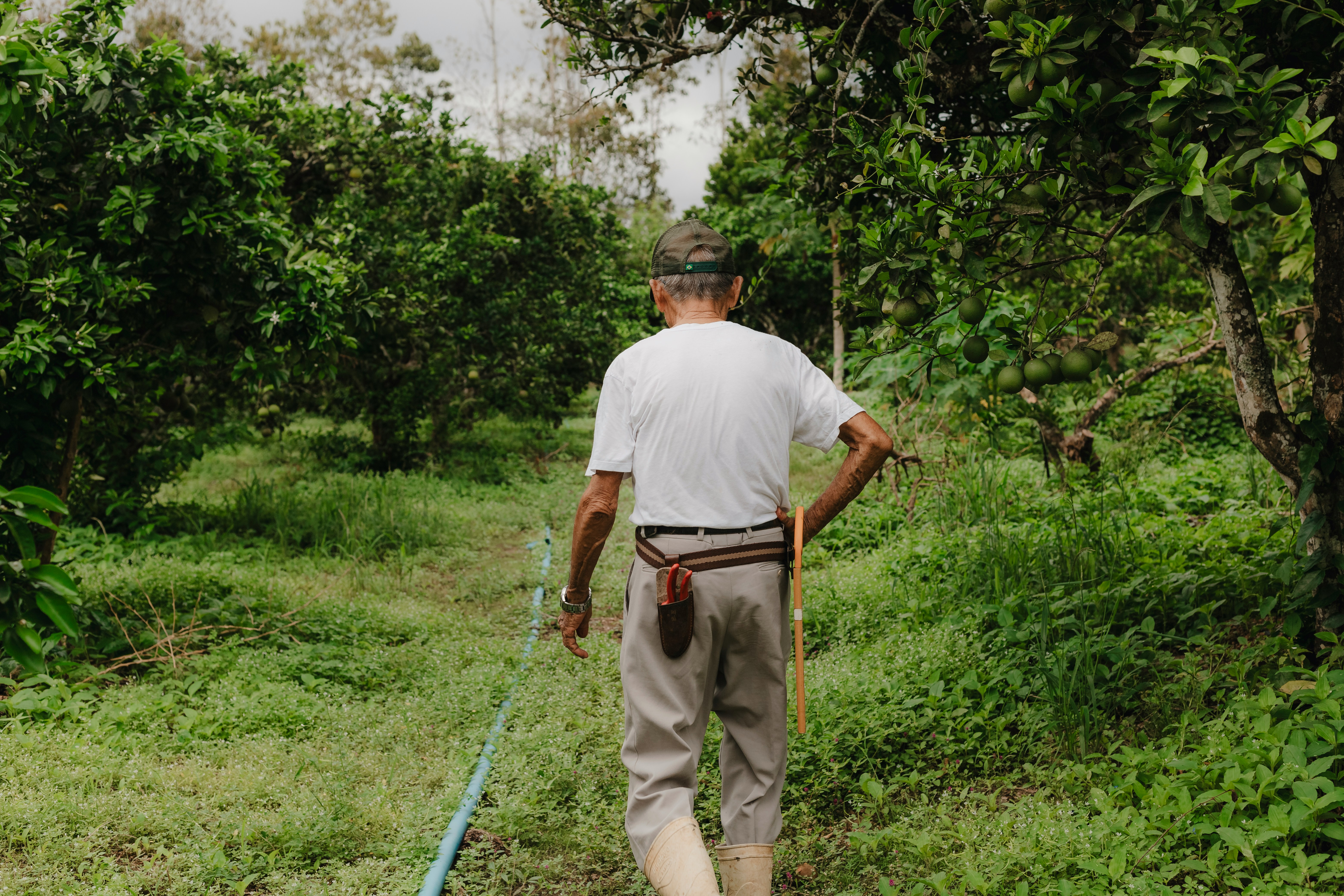 Conductores respondiendo